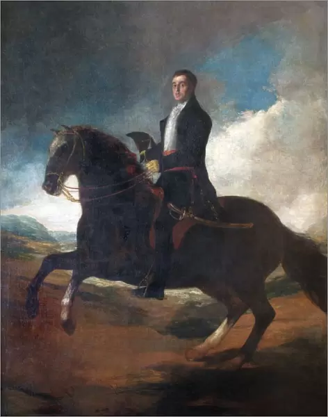 Goya - Equestrian portrait of the Duke of Wellington N070532
