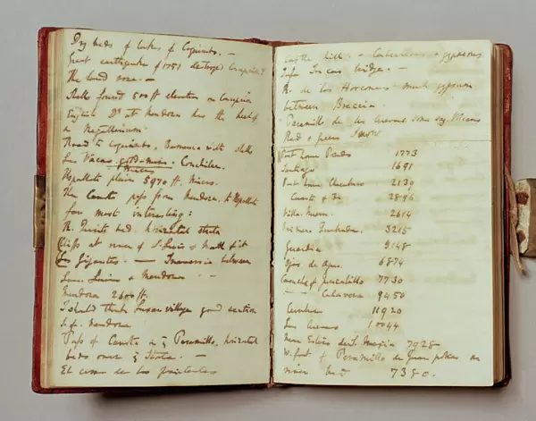 Charles Darwins notebook N020023