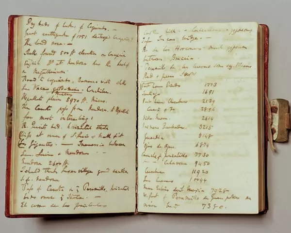 Charles Darwins notebook N020023
