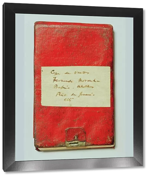 Charles Darwins notebook N020033