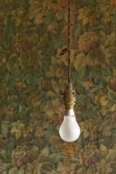 Light bulb, J. W. Evans N080197