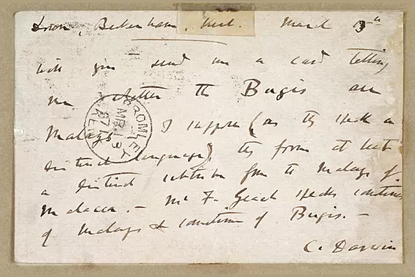 Postcard from Charles Darwin to A R Wallace K960212