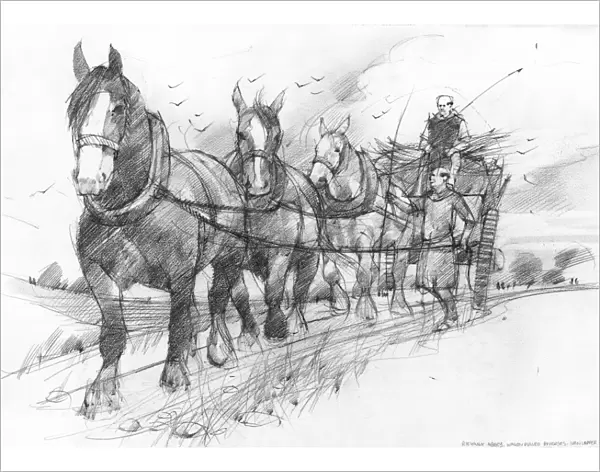 Horses pulling cart IC086_019