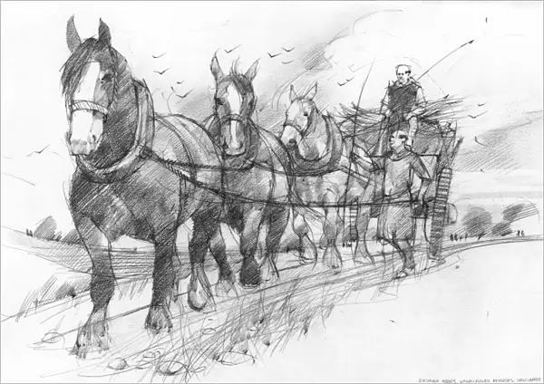 Horses pulling cart IC086_019