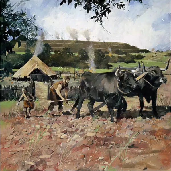 Iron Age farming N080555