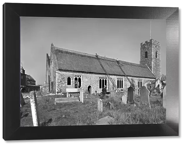 Thatching a church, Suffolk BB98_14595