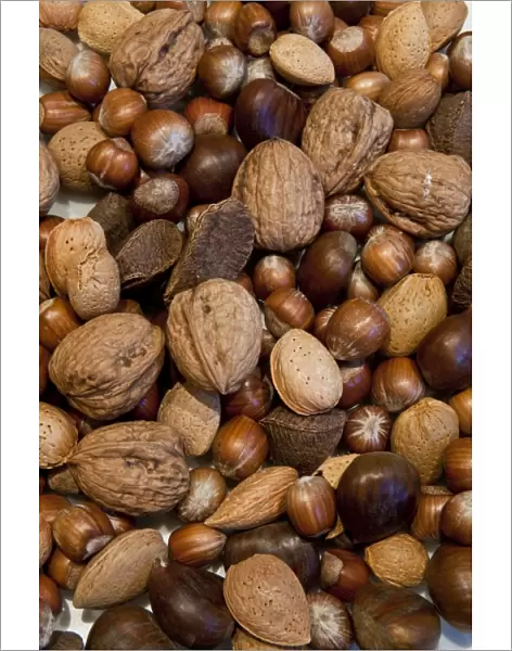 Nuts DP093743