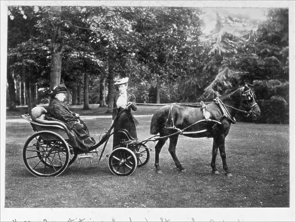 Queen Victoria and grand-daughter with pony Jim D880020a