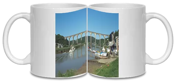 Viaduct. Railway Viaduct over the River Tamar. IoE 60814