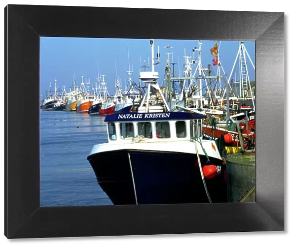 Fishing boats in Amble Harbour K011713
