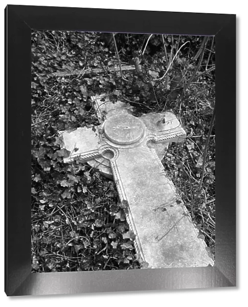 Highgate Cemetery MF001691_01