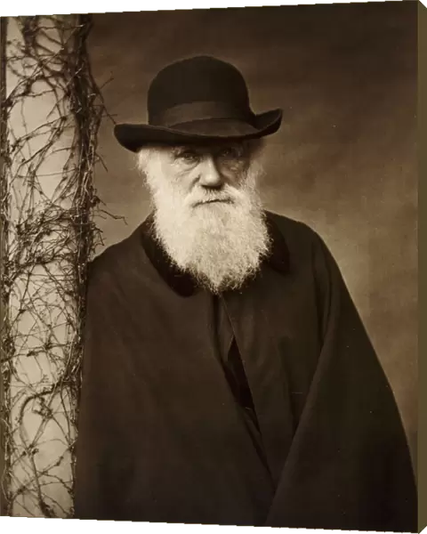 Charles Darwin K980123
