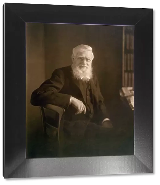 Alfred Russel Wallace K960210