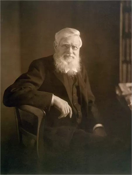 Alfred Russel Wallace K960210