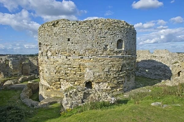 Camber Castle N100290