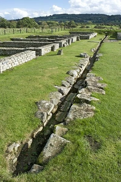 Chesters Roman Fort N100466