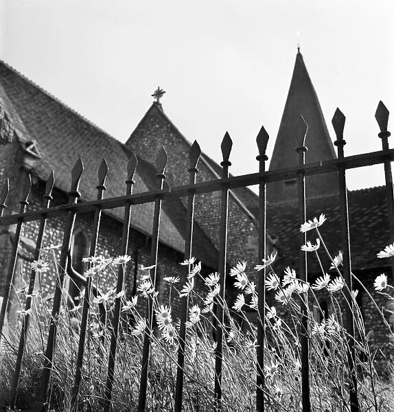 Church, railings and daisies a069857