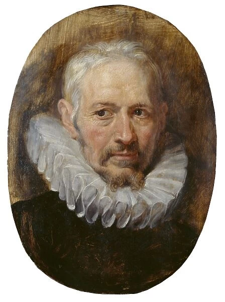 Rubens - Head of an Old Man K070005