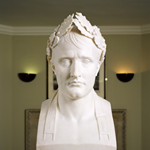 Bust of Napoleon J890110