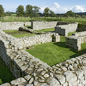 Chesters Roman Fort N100467