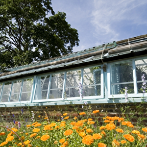 Darwins greenhouse at Down House N080404
