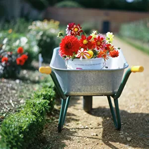 English Gardens Poster Print Collection: Walled and Kitchen Gardens