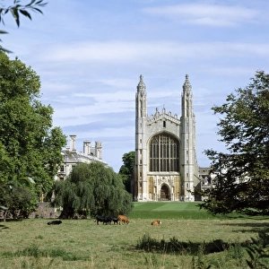 Towns and Cities Jigsaw Puzzle Collection: Cambridge