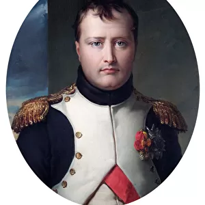 Fame Fine Art Print Collection: Napoleon Bonaparte