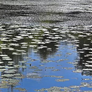 Abstracts Jigsaw Puzzle Collection: Reflections