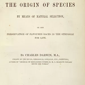 Charles Darwin and Down House Fine Art Print Collection: Darwin's scientific research