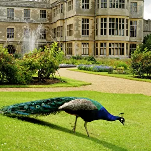 Audley End House Framed Print Collection: Audley End gardens