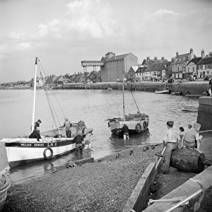 Whelk boats, Norfolk a98_14631