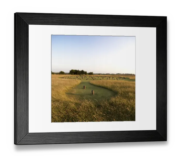 Framed Print : Durrington Walls N130013