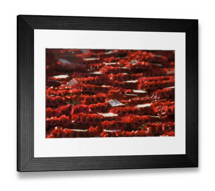 Framed Print : Poppy wreaths N040007