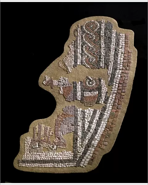 Aldborough Roman Town mosaic N080062