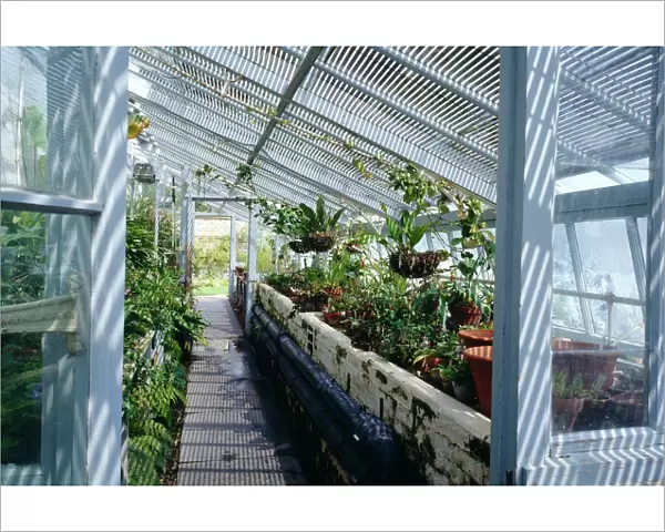 Darwins greenhouse K030561