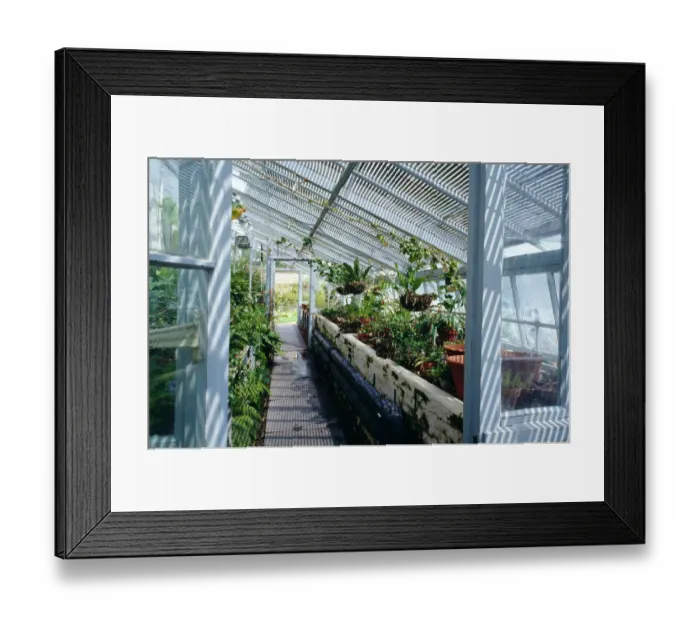 Framed Print : Darwins greenhouse K030561