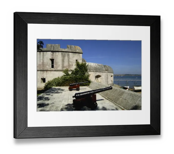 Framed Print : Portland Castle N040032