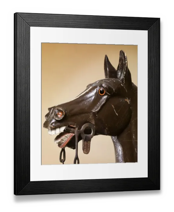 Framed Print : Haydocks exercise horse N080068 Framed Print : Haydocks exercise horse N080068