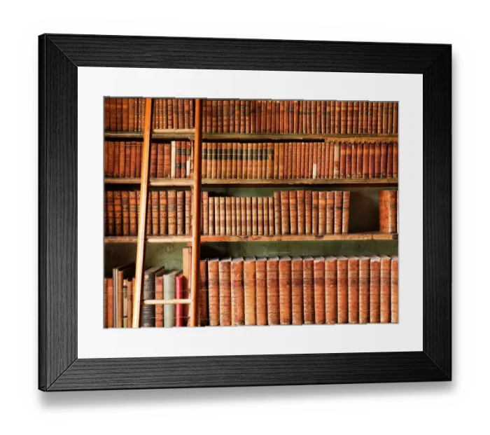 Framed Print : Brodsworth Hall Library N080071