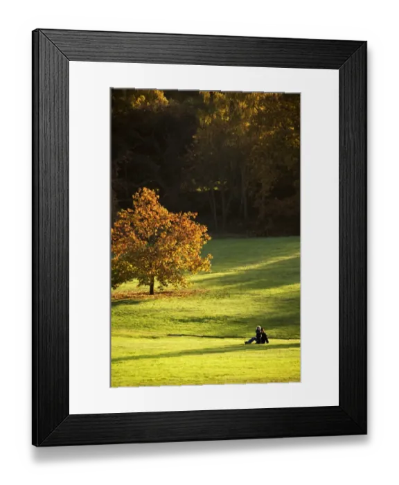 Framed Print : The grounds at Kenwood House N071383