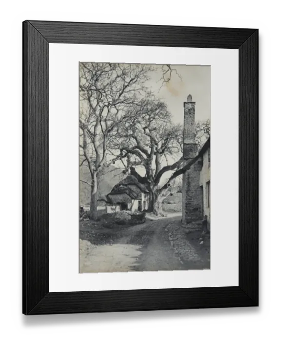 Framed Print : Bossington OP01574