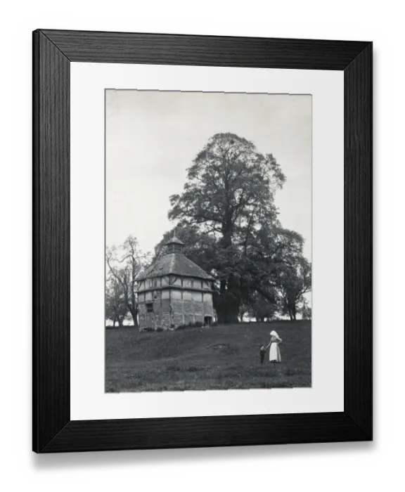 Framed Print : Oddingley Dovecote OP08634