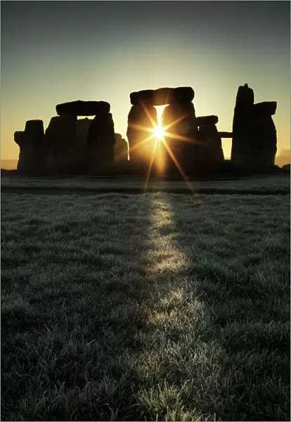 Stonehenge at sunrise N120064