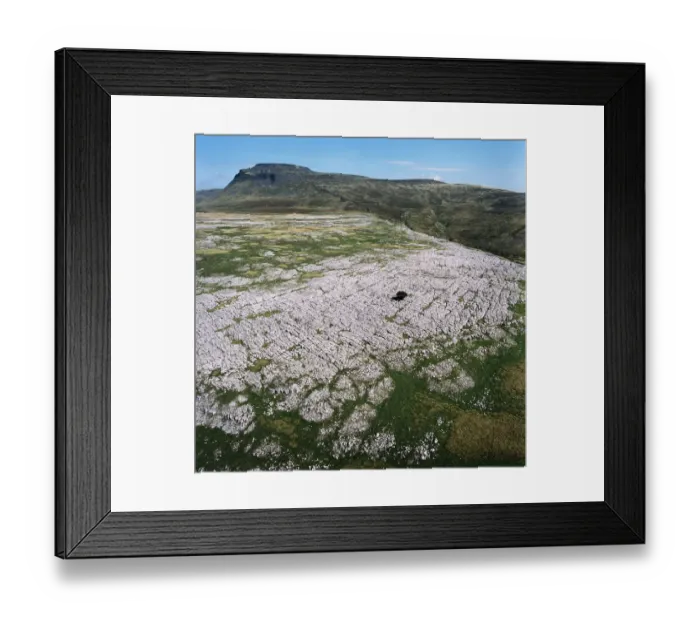 Framed Print : Ingleborough Common EAW603463