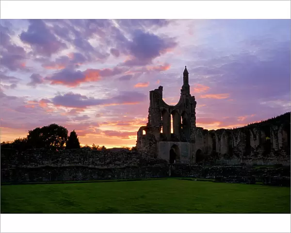 Byland Abbey sunset N071401