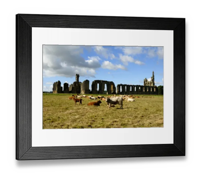 Framed Print : Byland Abbey N071409