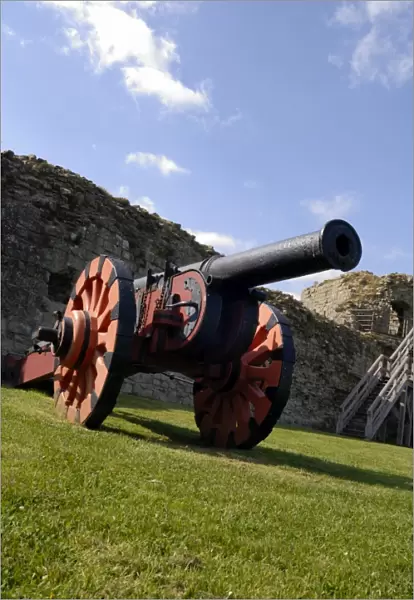 Cannon at Pevensey Castle N071419