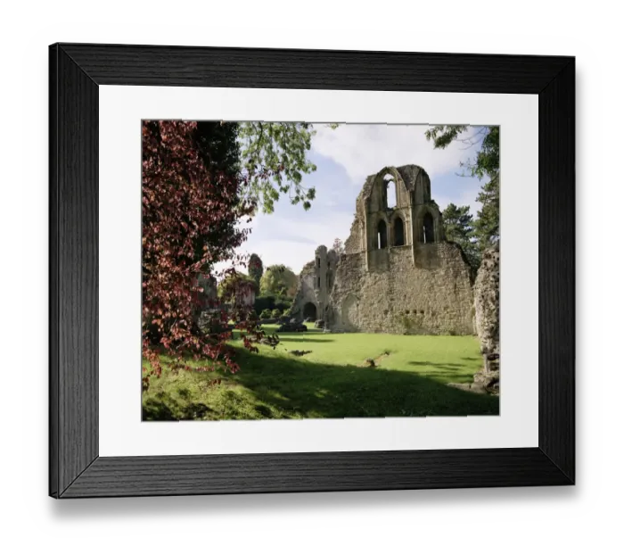Framed Print : Wenlock Priory N040043