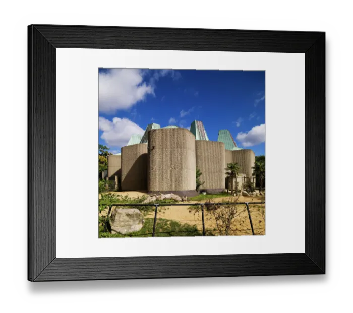 Framed Print : Elephant house DP138751